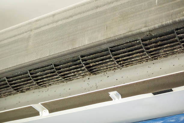 Best Best Air Duct Cleaning Company  in Cambridge, NE